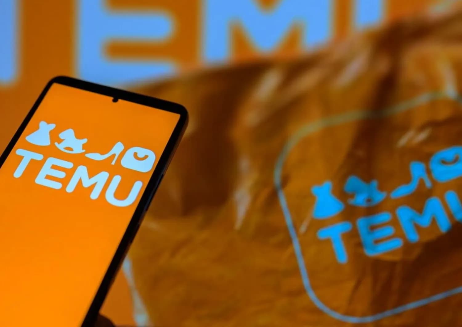 Obblighi delle piattaforme secondo la Legge Temu italiana