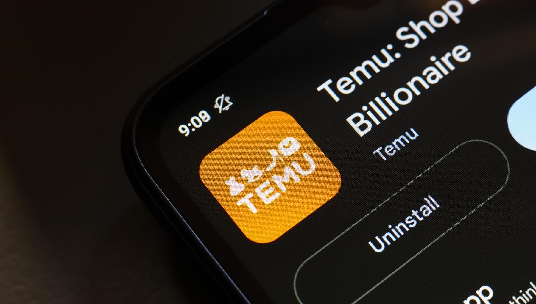 Funzionalità principali di Temu